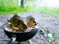 ������ �������� �������� � ������� �����������