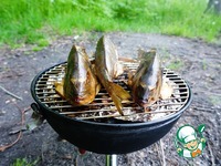 ������ �������� �������� � ������� �����������