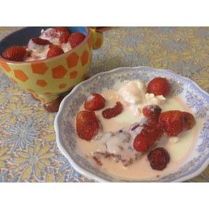 �������� ������