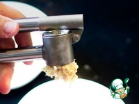 ���� ����� �����������