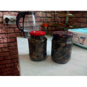 ������������ ����� �� ����