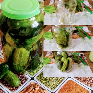 ������� ������ ��� ������� � ������