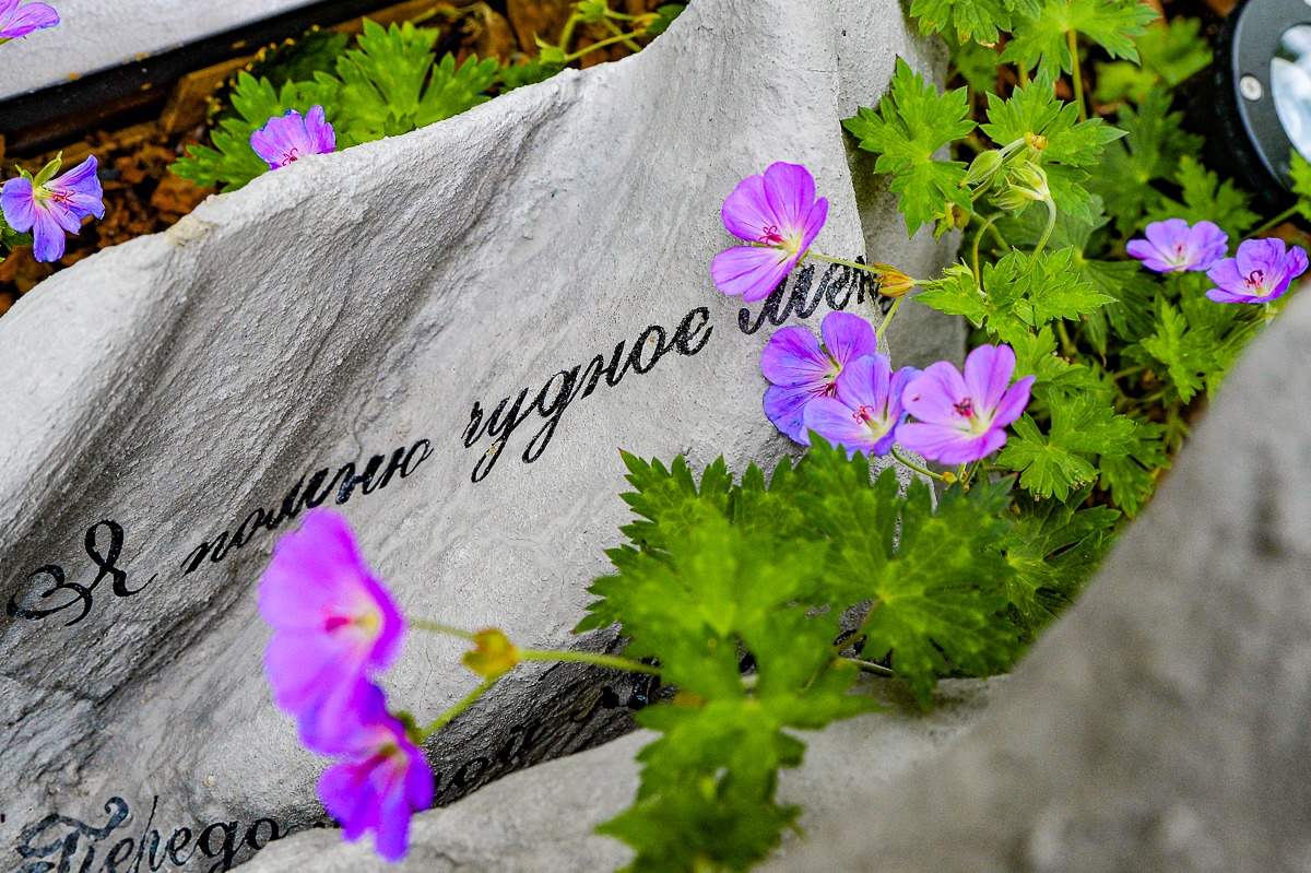 � ���������� ������ ����� �������� �������, ��������� � ��������: ����������� ������� ��������� ���������� ���� ������ ���� � �����