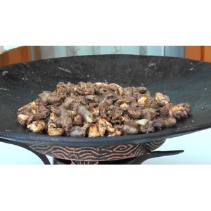 ������� ��-������������