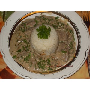 ������� ������ ������