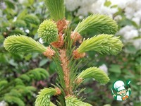 ������� �� ������� ������ ������� �����������