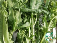 ������ ����� "� ��������� ���" �����������