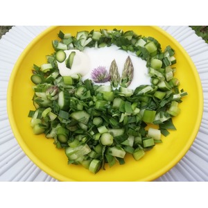 ������ ����� "� ��������� ���"