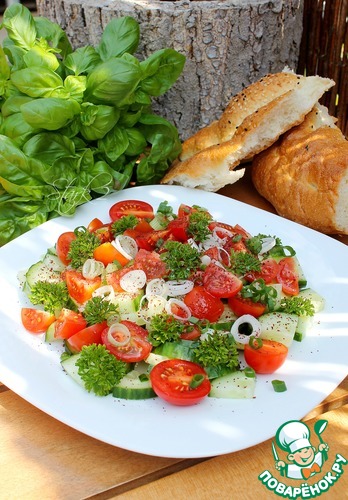 ����� ������� "����� ��������"