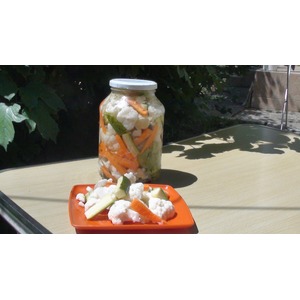 ��������� ������������ ����� "������"