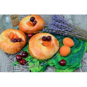 �������� � �������� � ��������