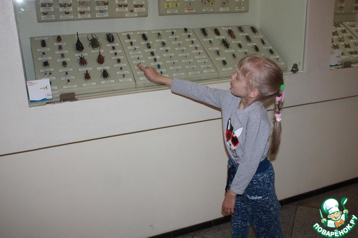 ����������� �������. ������������� ����� ����