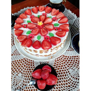 ���� "���������� ����������"