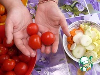 �������� �� ���� �����������