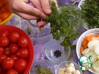 �������� �� ���� �����������