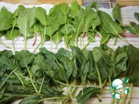 ������� ���� �����������