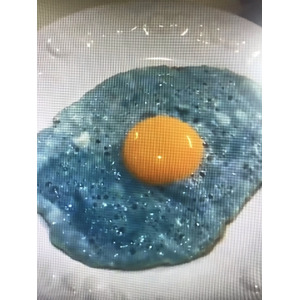 ����� �������