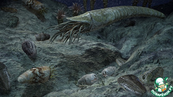 �������������