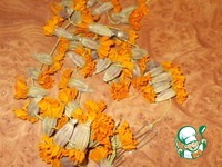 ������������ ������ �����������