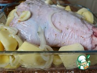 ������ ������� � ���������� �����������