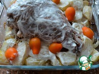 ������ ������� � ���������� �����������