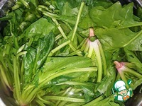 ������ � �������, ������� � ������� �����������