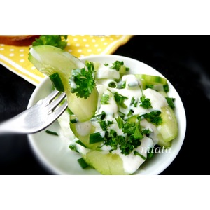 ������ ��������� �����