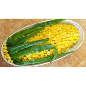 ����� "���������� �������"