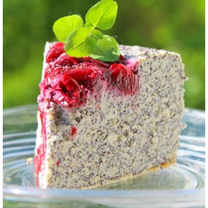 ��������-������� ���������