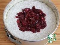 ��������-������� ��������� �����������