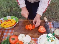 �������� � ������ �����������