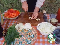 �������� � ������ �����������