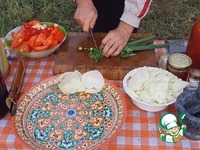 �������� � ������ �����������