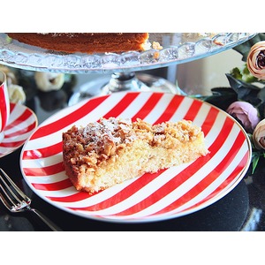 ������������ ����