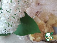 ������� � �������� � ������� �����������