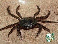 ����� ��-������� �����������