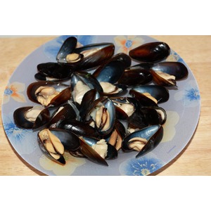 ����� ��-�������