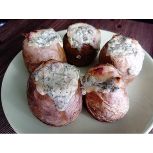 ������������ �������