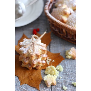 �������� ������� "����������"