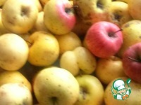 �������� ������ �����������