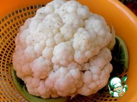 ������� �������, ���������� ��� ������ �����������