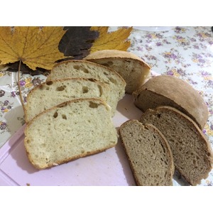 ������������ ���� �� ��������