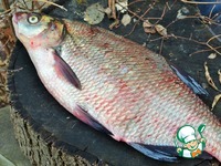 ��� ���������� �����������