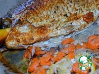 ��� ���������� �����������