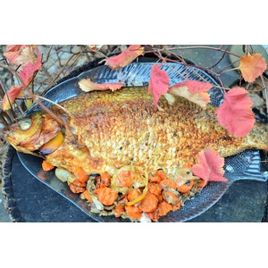 ��� ����������