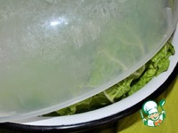 ������������ ������� ������ �����������