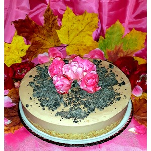 ���� ������������ "��������-����������"