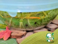 ������������ ������� ������ �����������