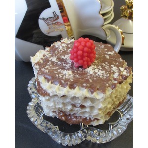 ���� ��� ���������� ����� "�������"