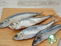 ������ ����� ������� ������ �����������